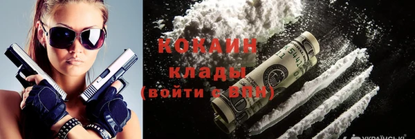 шишки Нязепетровск