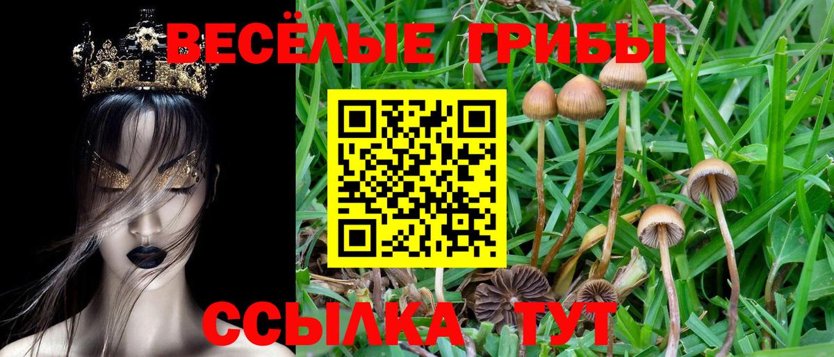 ГАШИШ  Мефедрон   Бошки Шишки  ЭКСТАЗИ  COCAIN  MDMA  Вход с VPN  МЕТ  Кимры  Марихуана  Сколько стоит 