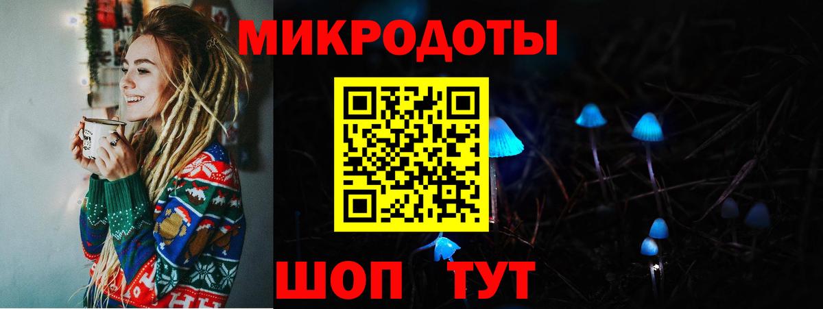 Кимры  Псилоцибиновые грибы прущие грибы  Вход с VPN 